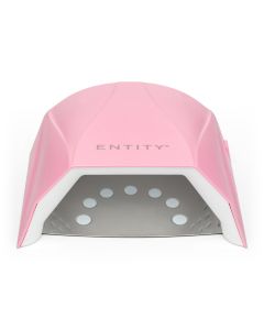Entity Cordless Pro LED Light